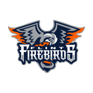 Флинт Файребирдс